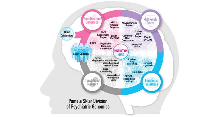 Illustration of Pamela Sklar Division of Psychiatric Genomics Innovation Hubs