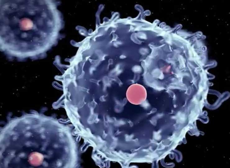 The Promise of Stem Cells to Cure Disease